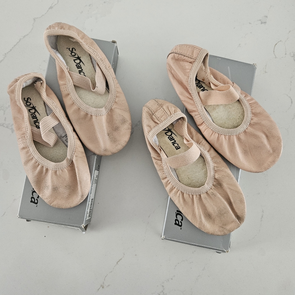 Ballet Slippers